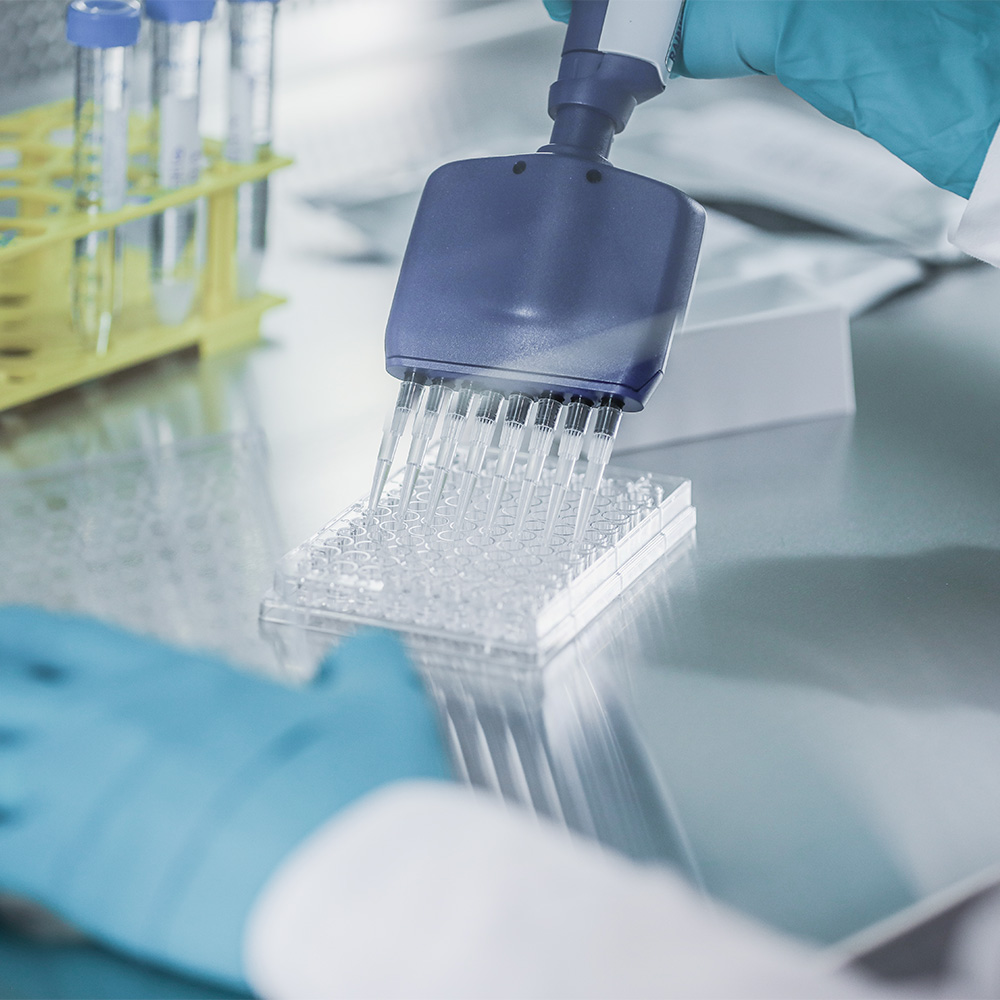 dedicated to providing superior quality nanocellulose